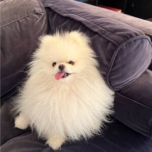 Meet your Posher, Jonathan